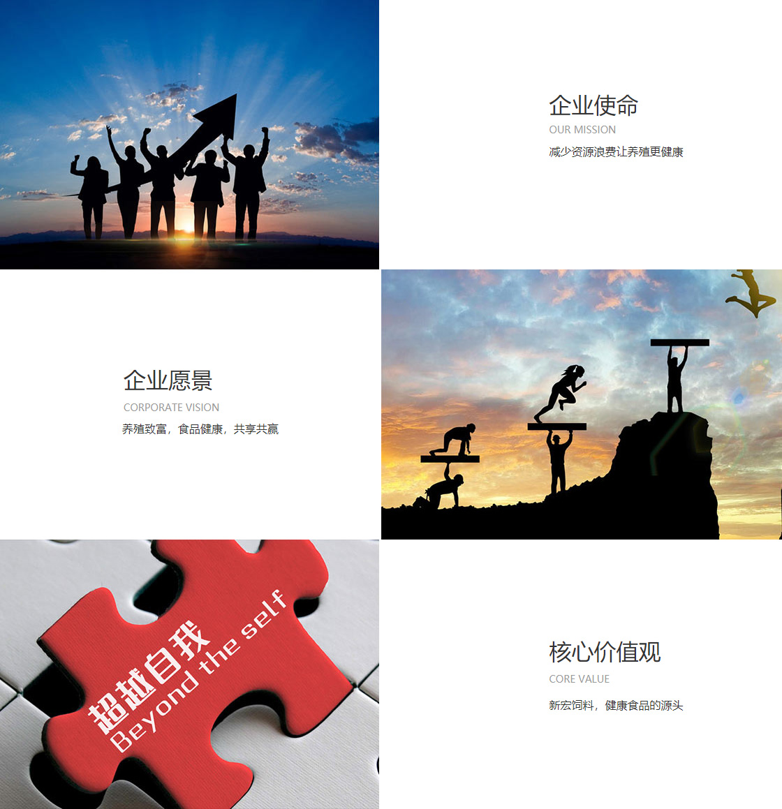 企业文化(图1) 企业文化(图1)